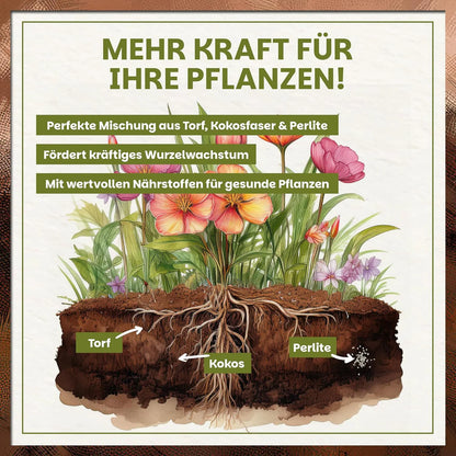 Darstellung des Bodenaufbaus mit Torf, Kokosfaser und Perlite für gesundes Wurzelwachstum