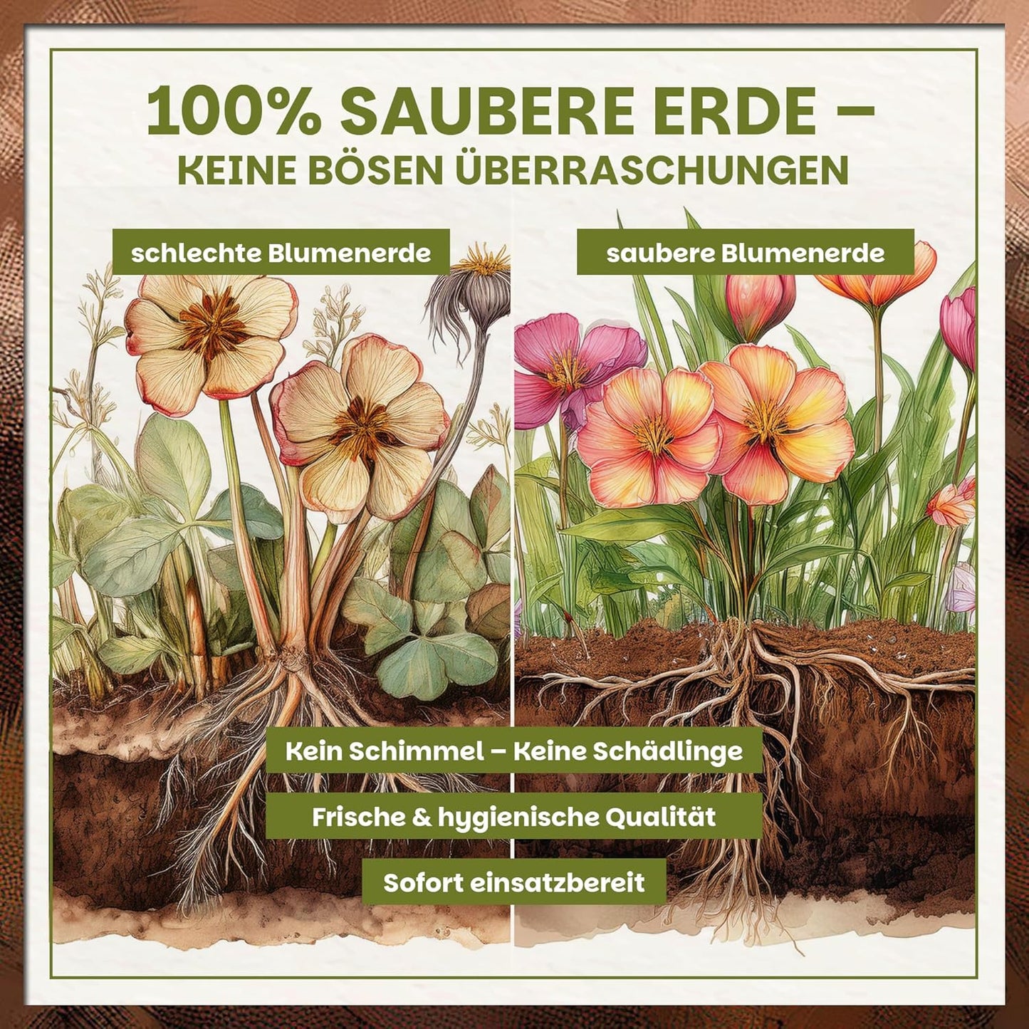 Vergleichsinfografik zwischen schlechter und sauberer Blumenerde mit gesunden Pflanzenwurzeln bei Green Home Blumenerde