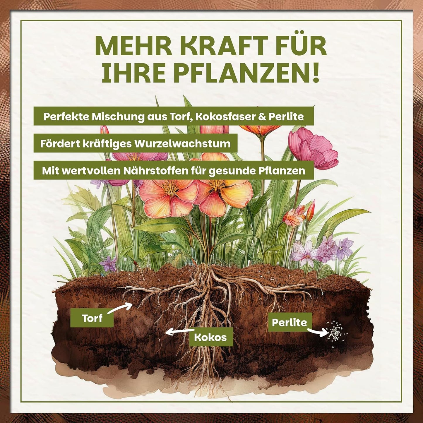 Infografik zur Green Home Blumenerde mit Querschnitt der Erde und Darstellung von Wurzelwachstum sowie Torf, Kokos und Perlite