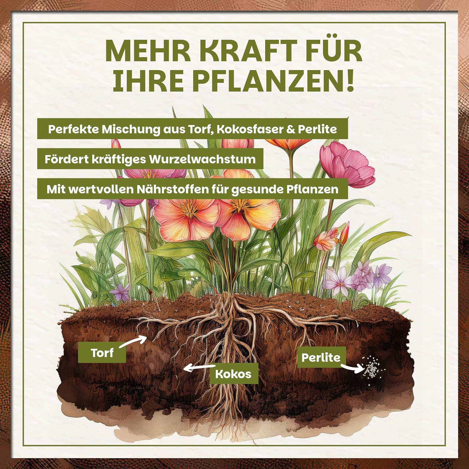 Infografik zur Green Home Blumenerde mit Querschnitt der Erde und Darstellung von Wurzelwachstum sowie Torf, Kokos und Perlite
