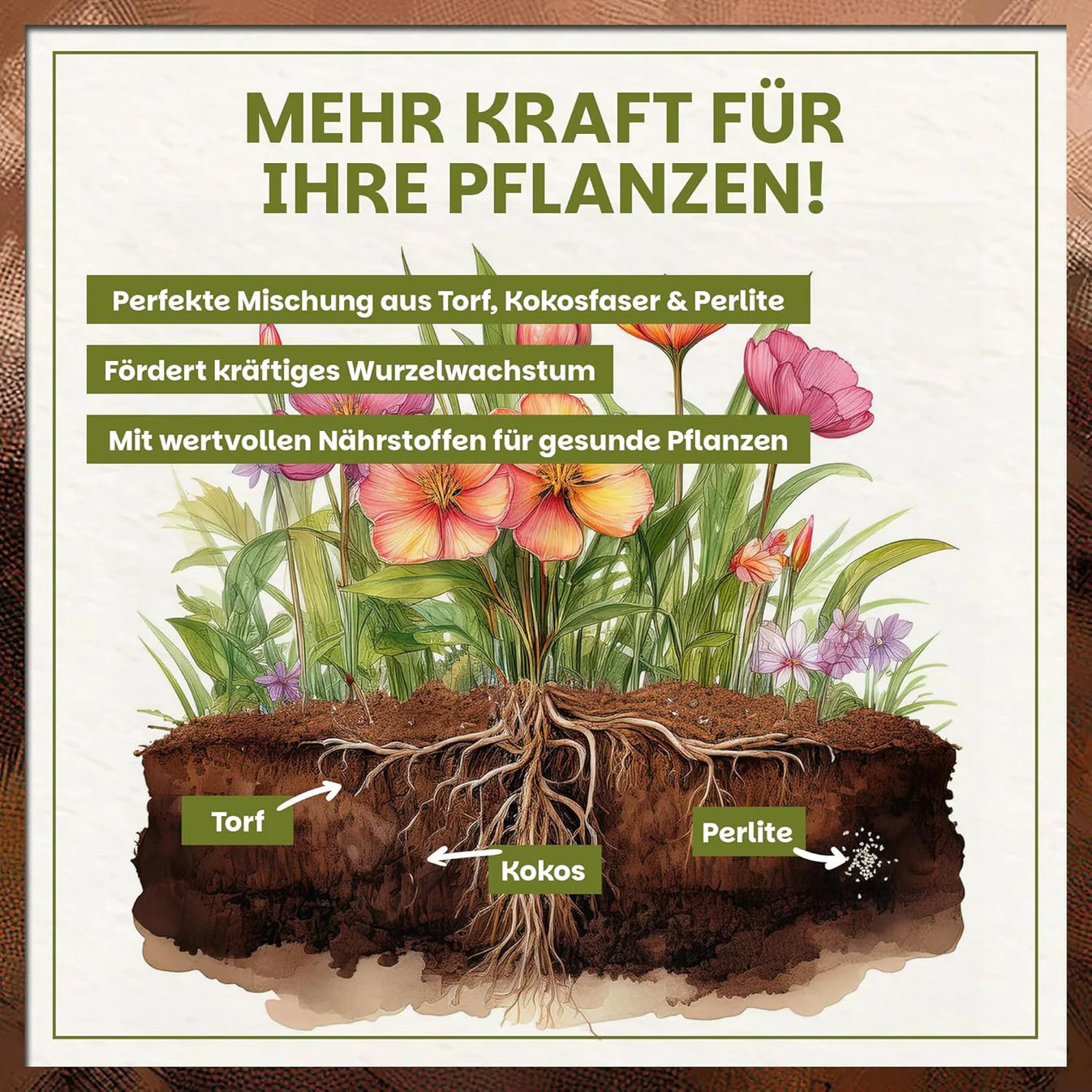 Illustration des Wurzelwachstums in Blumenerde mit Torf, Kokosfaser und Perlite für kräftige Pflanzen