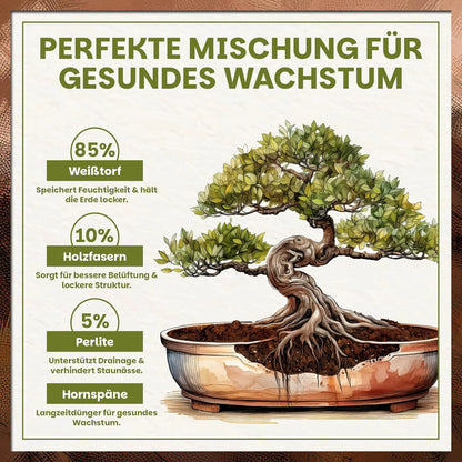 Zusammensetzung der Green Home Bonsai-Erde mit Weißtorf, Holzfasern, Perlite und Hornspänen für gesundes Wachstum