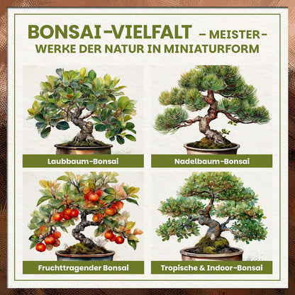 Übersichtsgrafik mit verschiedenen Bonsai-Arten wie Laubbaum-Bonsai, Nadelbaum-Bonsai, fruchttragendem Bonsai und tropischem Indoor-Bonsai.