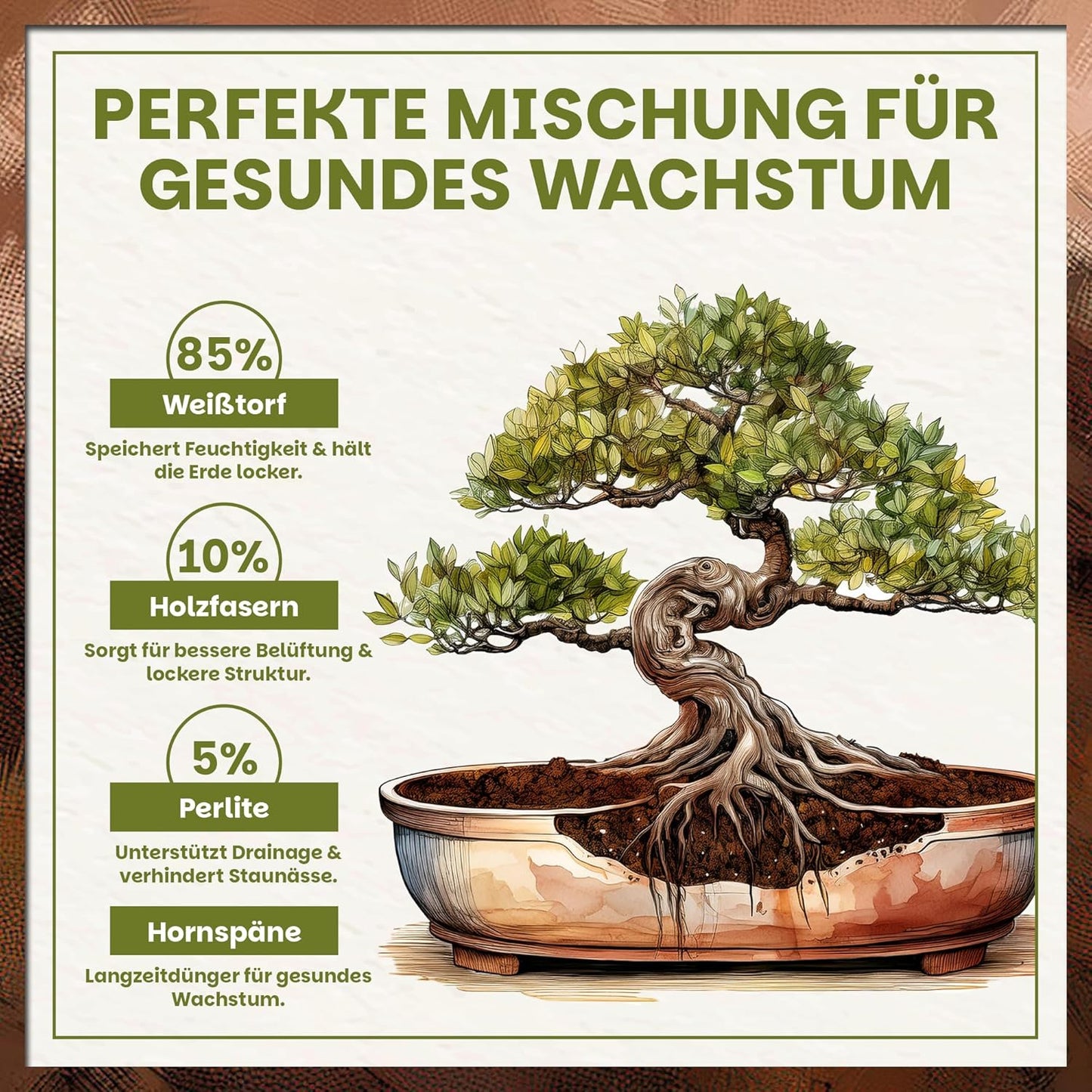 Darstellung der Zusammensetzung der Green Home Bonsaierde mit Prozentangaben zu Weißtorf, Holzfasern, Perlite und Hornspänen sowie Illustration eines Bonsai-Baums mit sichtbarem Wurzelbereich.
