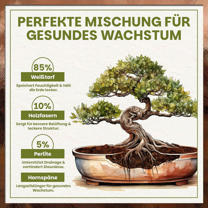 Darstellung der Zusammensetzung der Green Home Bonsaierde mit Prozentangaben zu Weißtorf, Holzfasern, Perlite und Hornspänen sowie Illustration eines Bonsai-Baums mit sichtbarem Wurzelbereich.