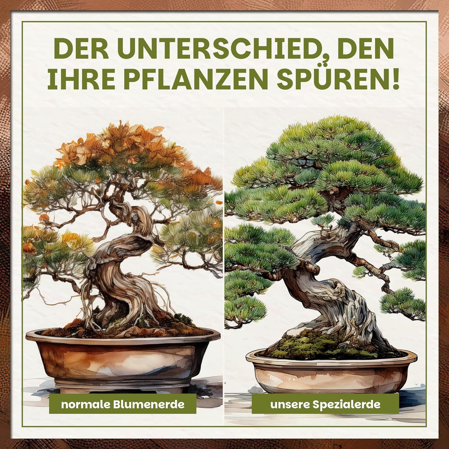 Vergleichsgrafik mit zwei Bonsai-Bäumen im Topf, gegenübergestellt normale Blumenerde und Green Home Bonsaierde für sichtbar gesünderes Wachstum.