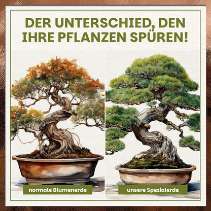 Vergleichsgrafik mit zwei Bonsai-Bäumen im Topf, gegenübergestellt normale Blumenerde und Green Home Bonsaierde für sichtbar gesünderes Wachstum.