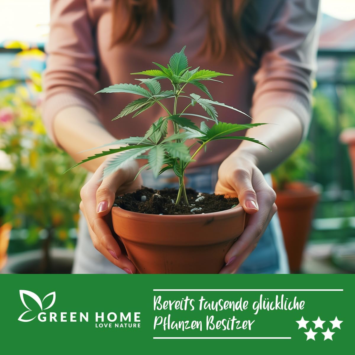 Cannabispflanze im Blumentopf mit Erde aus dem Green Home Cannabis Anbau Set, geeignet für verschiedene Wachstumsphasen.