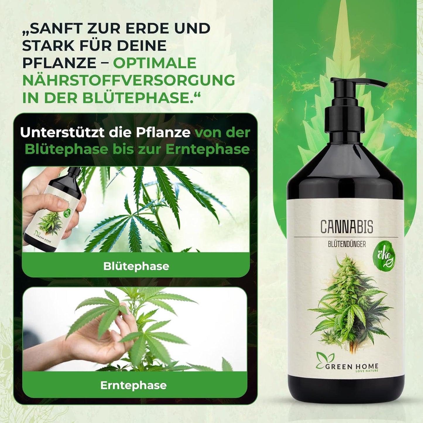 Green Home Cannabis Blütendünger zur Anwendung von der Blütephase bis zur Erntephase für optimale Nährstoffversorgung.