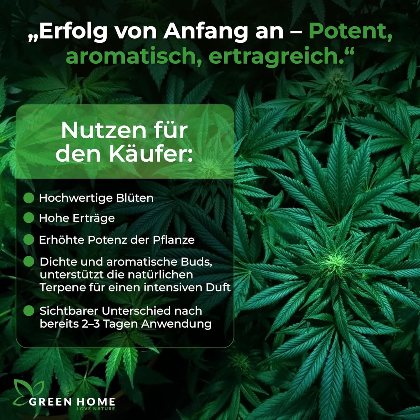 Übersicht zu Vorteilen des Green Home Cannabis Blütendüngers wie hochwertige Blüten, hohe Erträge und dichte, aromatische Buds.