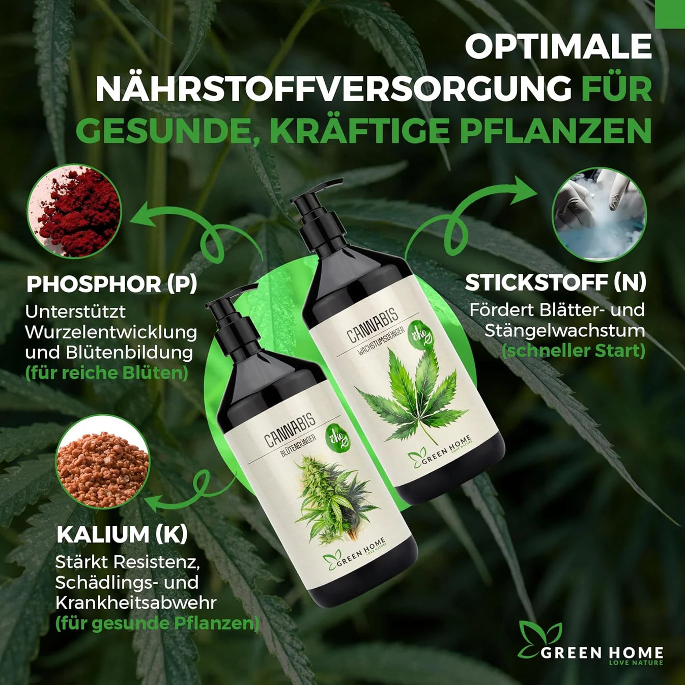 Green Home Cannabis Wachstums- und Blütendünger mit Erklärung von Stickstoff, Phosphor und Kalium für gesunde Pflanzen