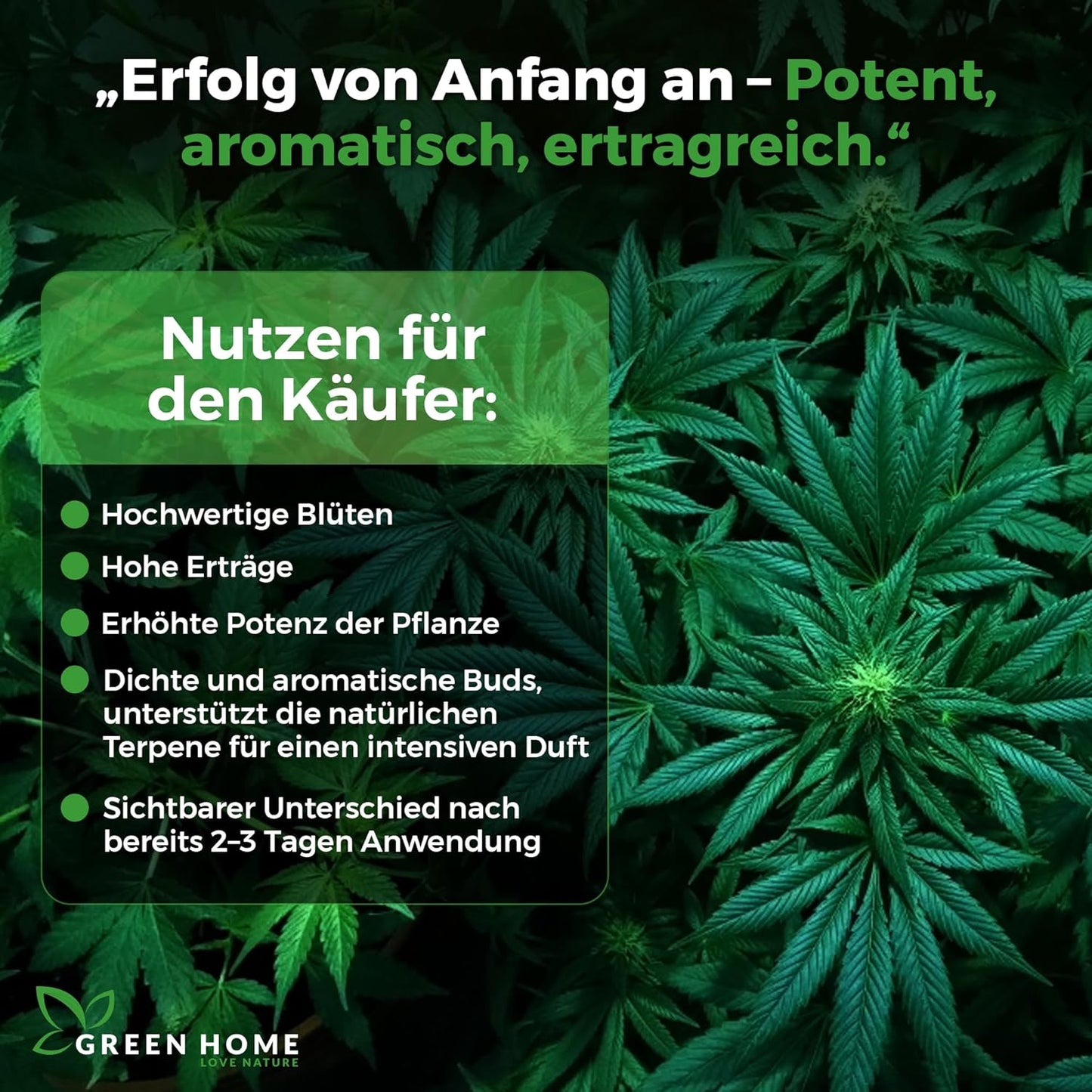Übersicht der wichtigsten Vorteile des Green Home Cannabis Dünger Sets – hohe Erträge, aromatische Blüten und gesteigerte Pflanzenpotenz.