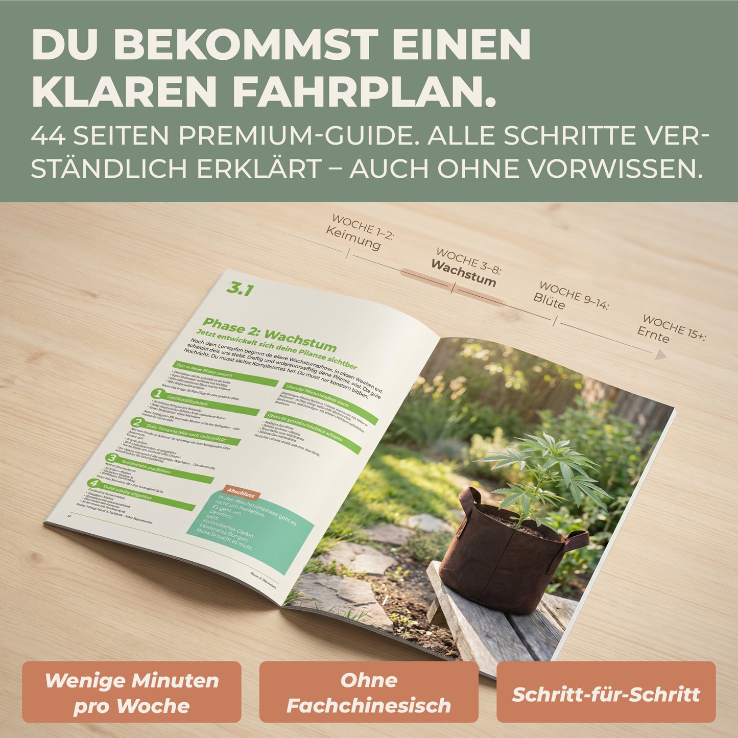 44-seitiger Outdoor Grow Anfänger-Guide mit Wochenplan: Keimung, Wachstum, Blüte und Ernte verständlich Schritt für Schritt erklärt
