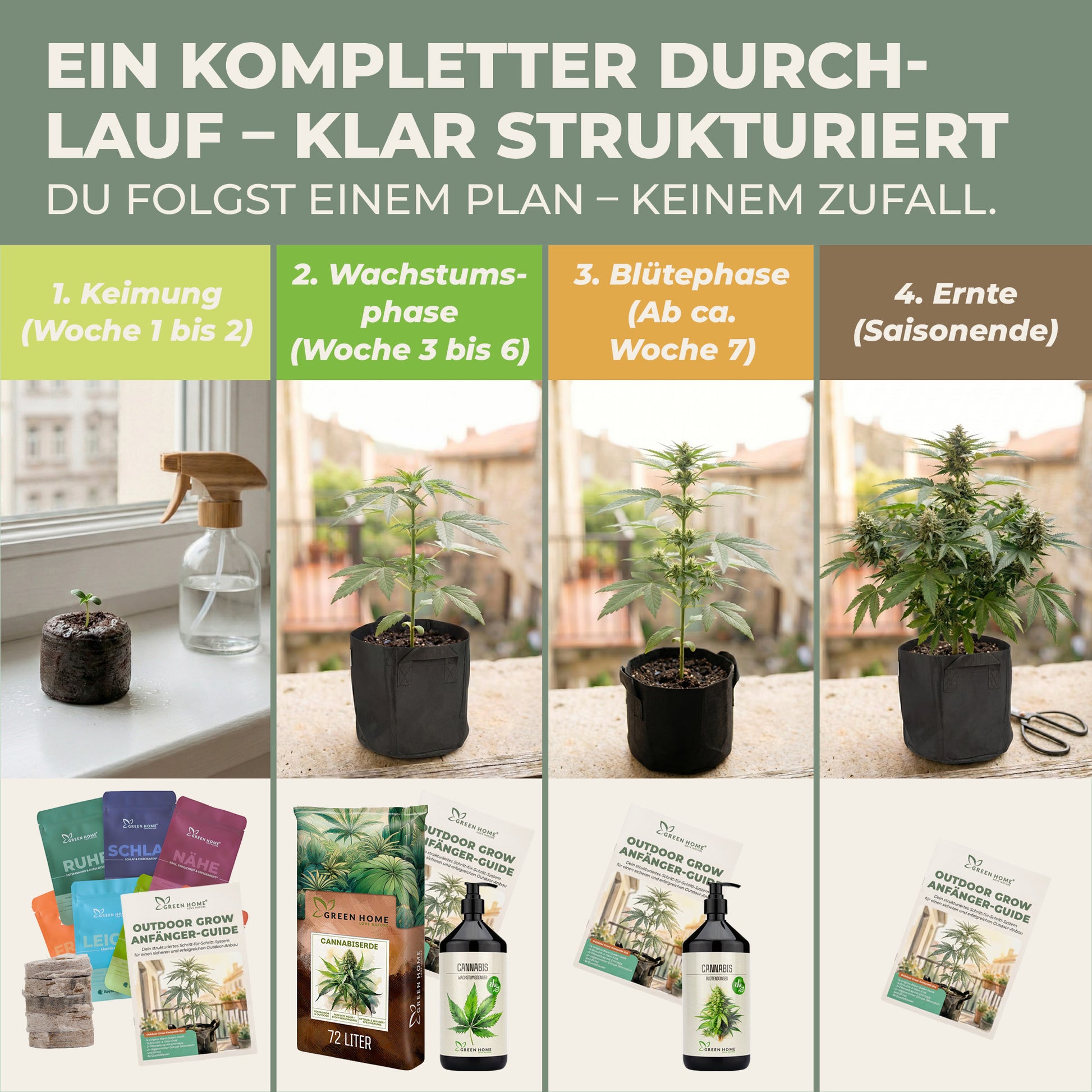 Cannabis Grow Set Phasen-Übersicht: Keimung Woche 1-2, Wachstum Woche 3-6, Blüte ab Woche 7, Ernte zum Saisonende