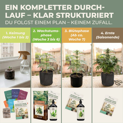 Cannabis Grow Set Phasen-Übersicht: Keimung Woche 1-2, Wachstum Woche 3-6, Blüte ab Woche 7, Ernte zum Saisonende