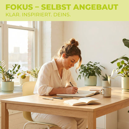 Frau schreibt konzentriert an einem Schreibtisch umgeben von Zimmerpflanzen – Lifestyle-Bild zum Green Home FOKUS Samen Starter-Set