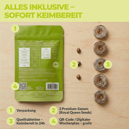 Inhalt des Green Home FOKUS Samen Starter-Sets mit Verpackungsrückseite, drei Premium-Samen, Quelltabletten und QR-Code zum digitalen Wochenplan