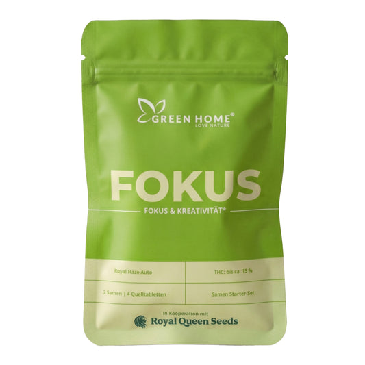 Green Home FOKUS Samen Starter-Set Verpackung von vorne mit Angaben zu Royal Haze Auto, 3 Samen und 4 Quelltabletten