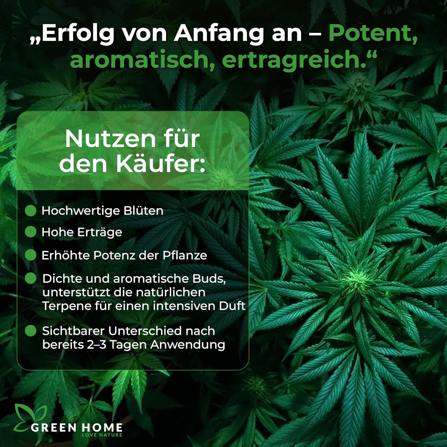 Vorteile des Green Home Cannabis Wachstumsdüngers für hohe Erträge, kräftige Pflanzen und aromatische Blüten.