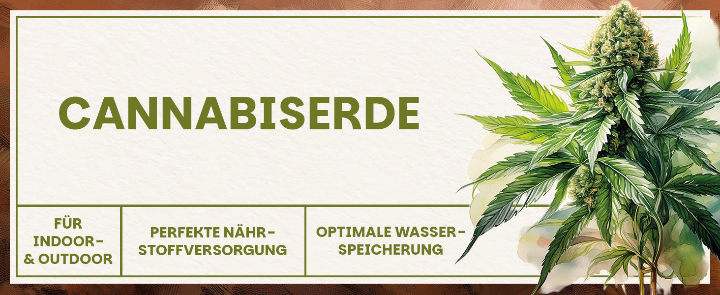 Cannabiserde von Green Home für Indoor- und Outdoor-Anbau mit optimaler Nährstoffversorgung und Wasserspeicherung.