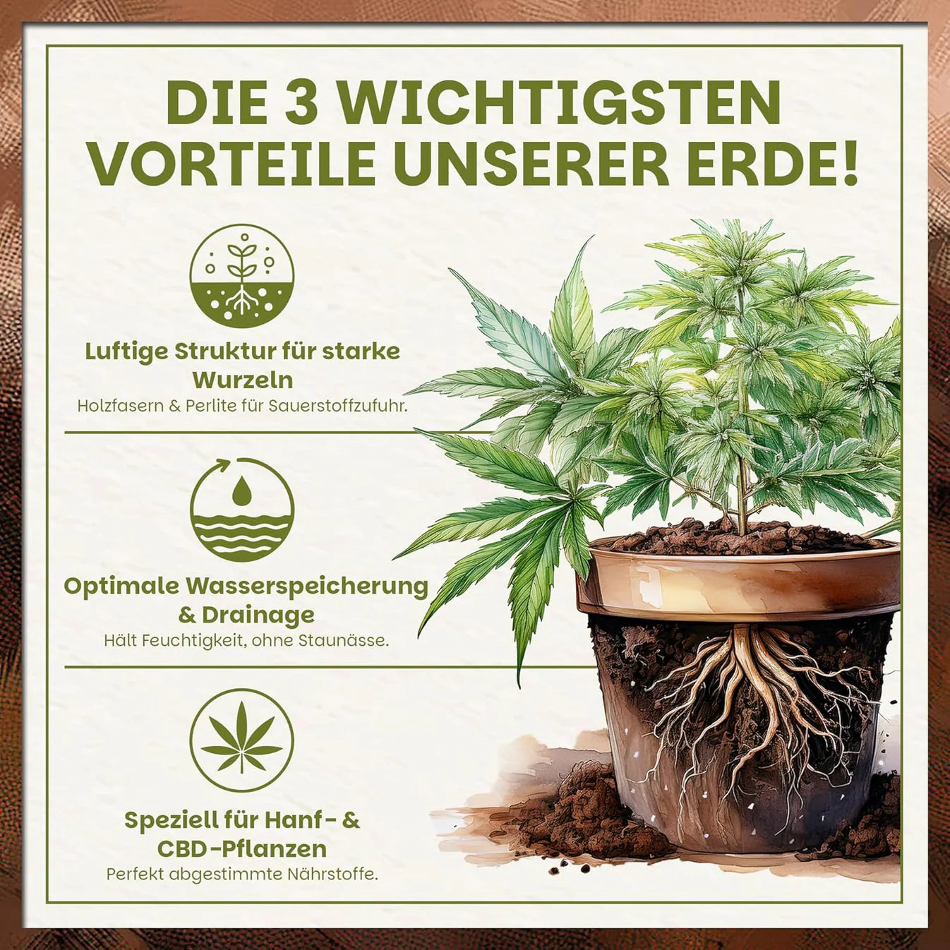 Cannabis Pflanze im Topf mit Visualisierung der Vorteile luftige Struktur, Wasserspeicherung und Hanf-spezifische Nährstoffe