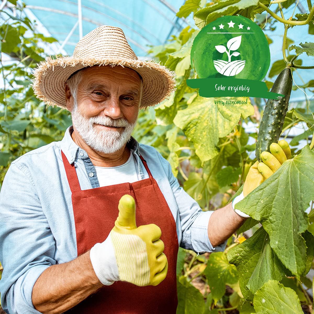 Gärtner im Gewächshaus mit Gurkenernte – steht für die hohe Ergiebigkeit des Green Home Dünger 1 Liter.