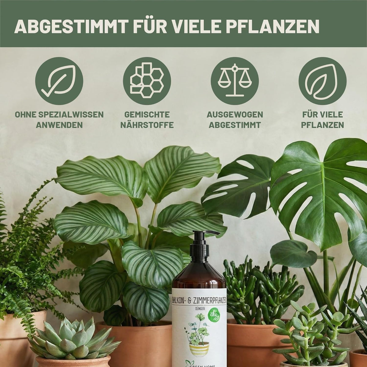 Green Home Dünger für Balkon- und Zimmerpflanzen umgeben von verschiedenen Zimmerpflanzen in Töpfen