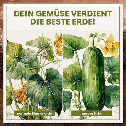 Vergleich normale Blumenerde vs. Green Home Gemüseerde für kräftiges Wachstum von Gurken und Zucchini