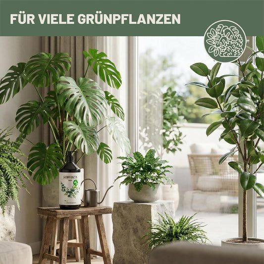 Green Home Grünpflanzen Dünger Flasche auf Hocker neben Zimmerpflanzen im hellen Wohnzimmer