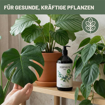 Green Home Grünpflanzen Dünger neben Topfpflanzen während eine Hand ein großes grünes Blatt hält
