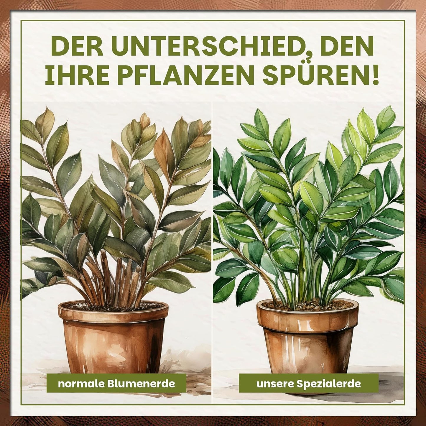 Vergleichsdarstellung zwischen normaler Blumenerde und Green Home Grünpflanzen- und Palmenerde mit sichtbar gesünderer Pflanze