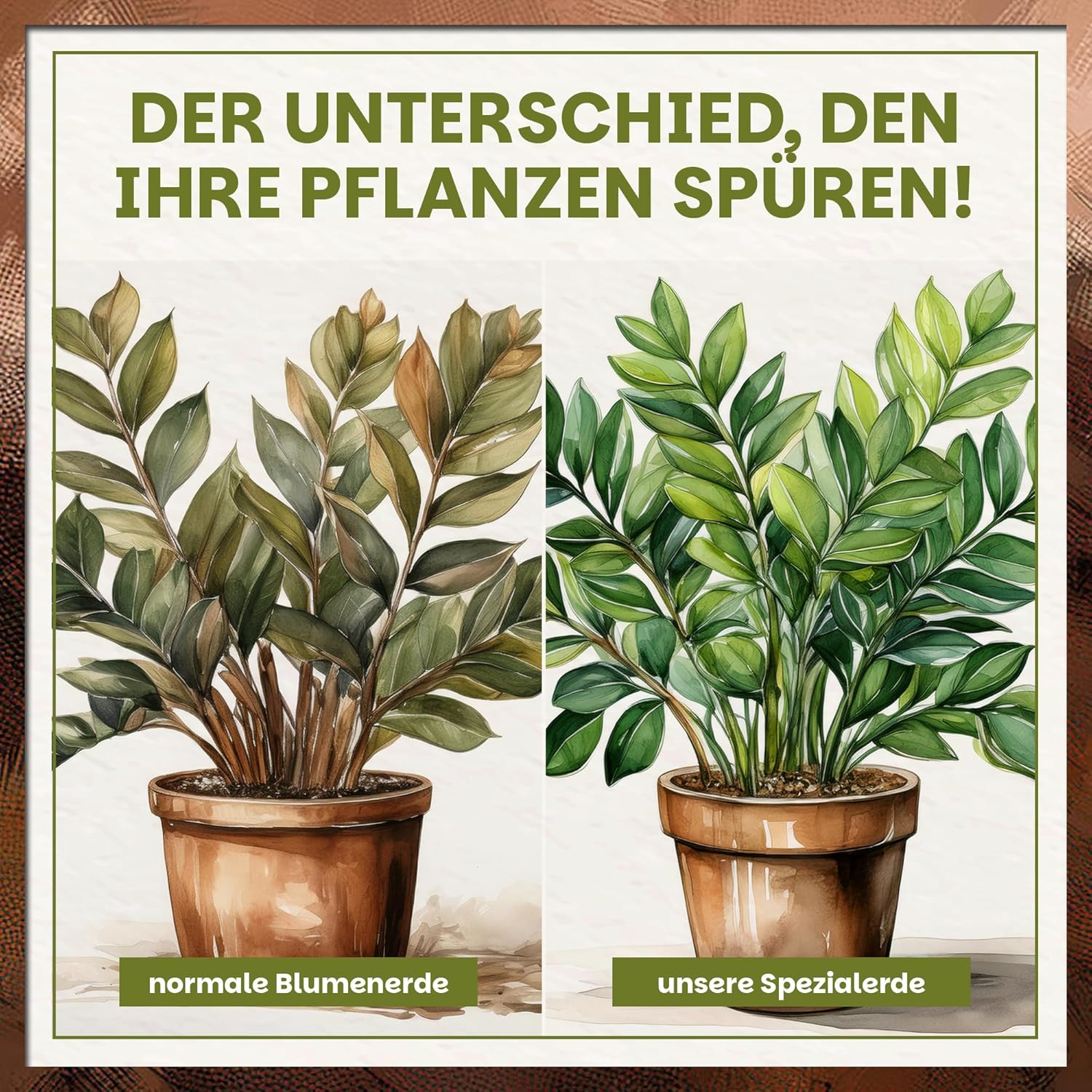 Vergleichsdarstellung zwischen normaler Blumenerde und Green Home Grünpflanzen- und Palmenerde mit sichtbar gesünderer Pflanze