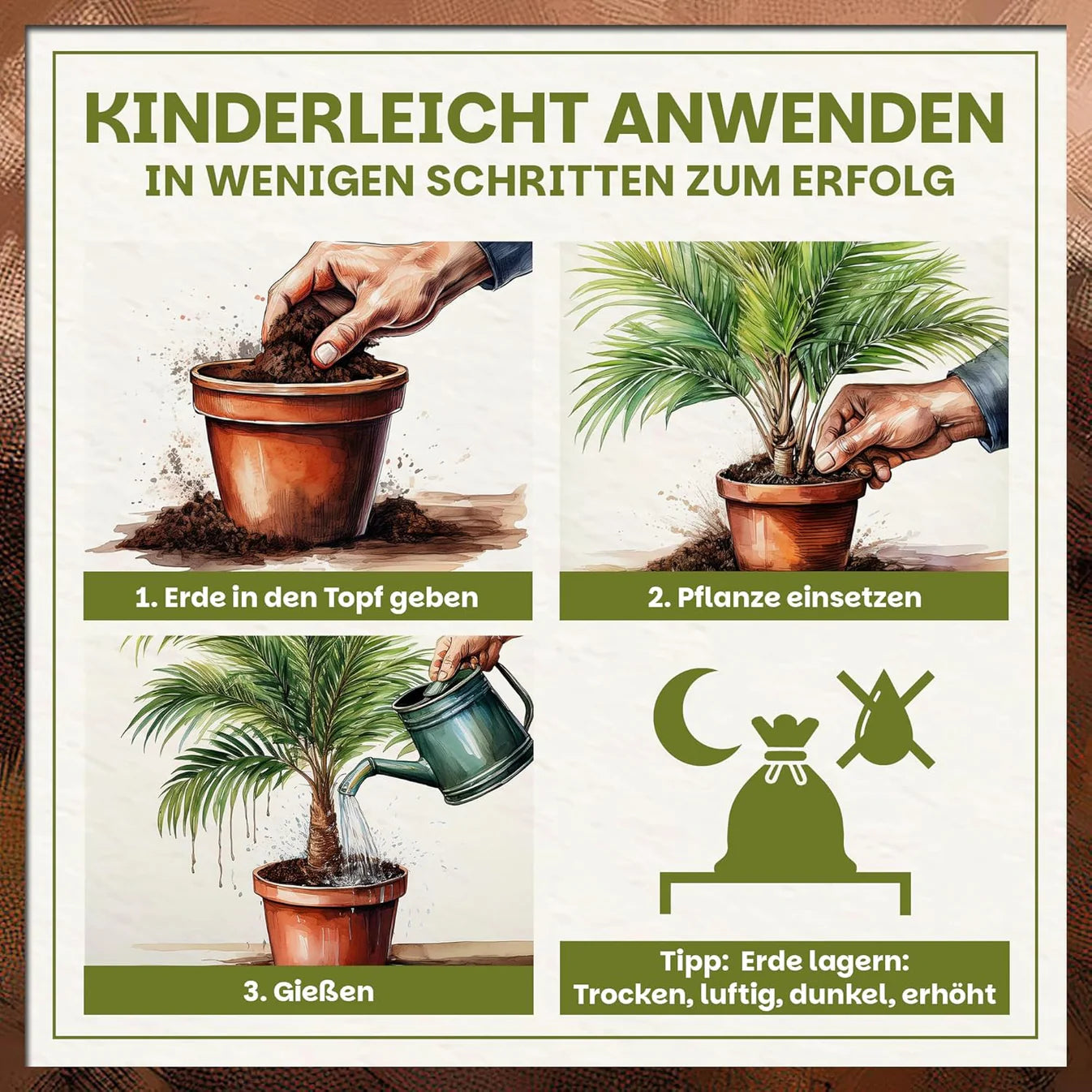 Schritt-für-Schritt-Illustration zur Anwendung der Palmenerde: Erde einfüllen, Pflanze einsetzen und angießen