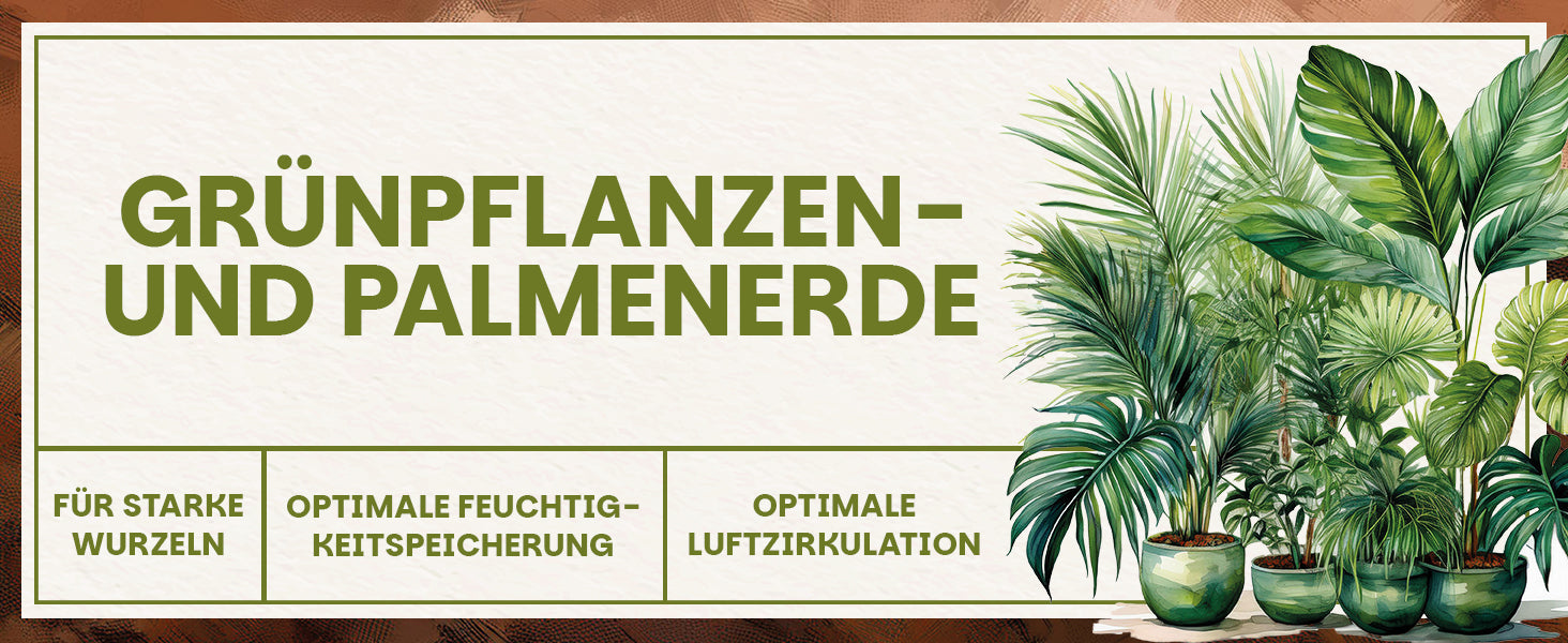 Infografik zur Green Home Grünpflanzen- und Palmenerde mit Hinweisen zu starker Wurzelbildung, Feuchtigkeitsspeicherung und Luftzirkulation