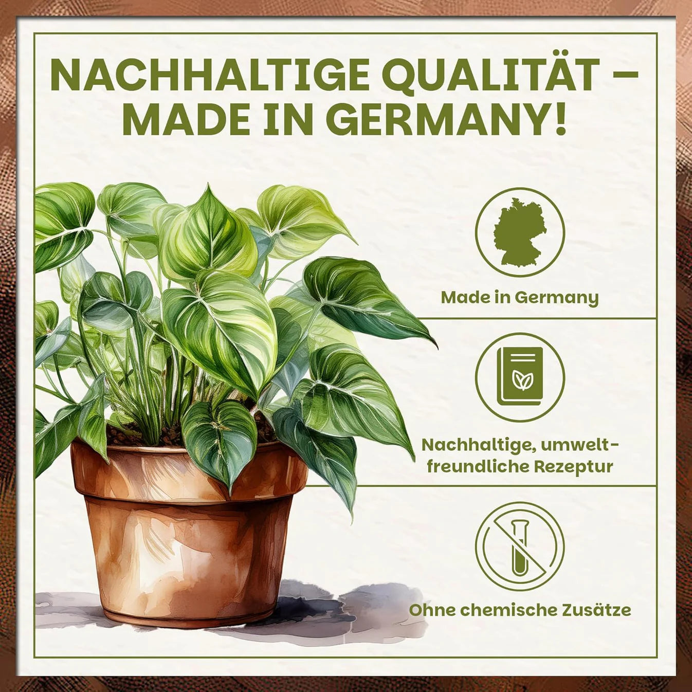 Darstellung einer Zimmerpflanze mit Hinweisen auf nachhaltige Qualität, Made in Germany und umweltfreundliche Rezeptur ohne chemische Zusätze