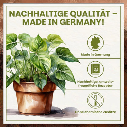 Darstellung einer Zimmerpflanze mit Hinweisen auf nachhaltige Qualität, Made in Germany und umweltfreundliche Rezeptur ohne chemische Zusätze