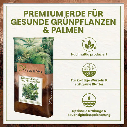 Infografik zur Green Home Grünpflanzen- und Palmenerde mit Vorteilen für gesunde Palmen, nachhaltige Herstellung und optimale Drainage