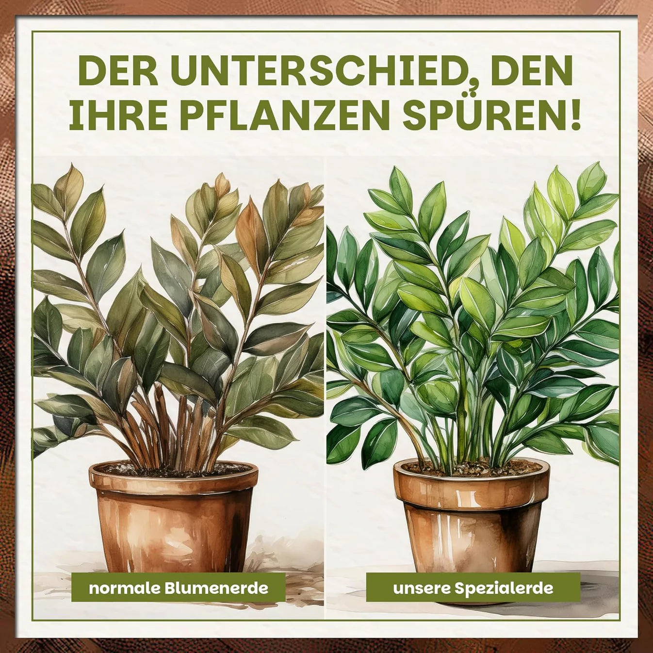 Vergleichsillustration von Pflanze in normaler Blumenerde versus Green Home Spezialerde mit sichtbar kräftigerem Blattgrün