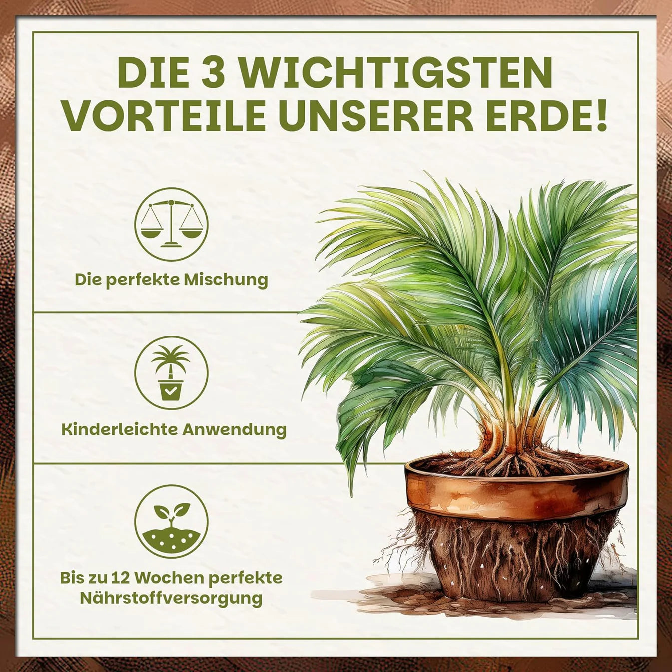 Illustration einer Palme im Topf mit Darstellung der drei wichtigsten Vorteile der Palmenerde: perfekte Mischung, einfache Anwendung und Langzeitnährstoffe
