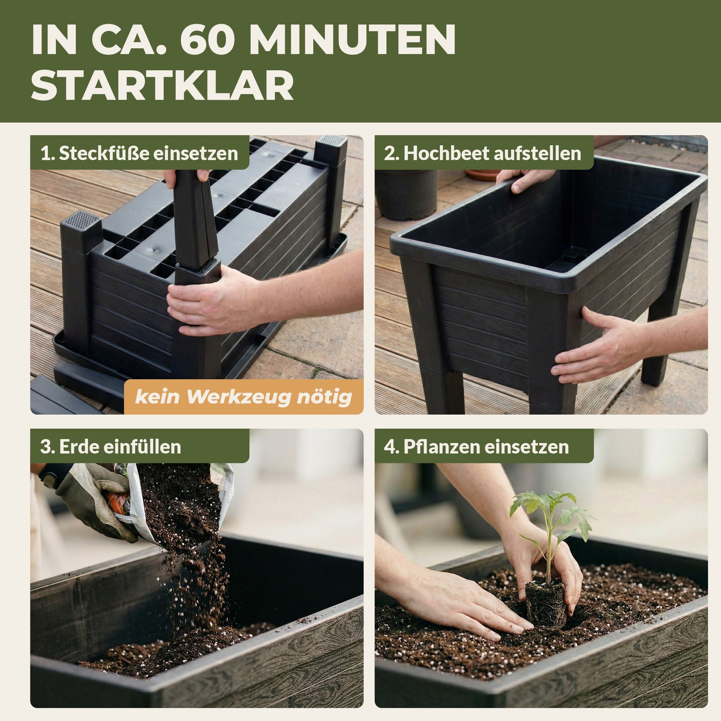 Schrittweise Montage des Green Home Hochbeets mit Einsetzen der Beine, Aufstellen des Kastens, Einfüllen der Erde und Einpflanzen einer Jungpflanze