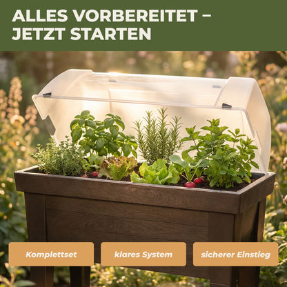 Bepflanztes Green Home Hochbeet Komplettset mit transparentem Deckel und wachsenden Kräutern und Gemüse im Garten bei Sonnenlicht