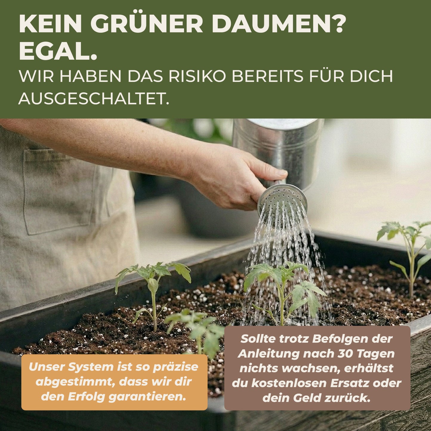 Junge Pflanzen im Green Home Hochbeet werden mit einer Gießkanne bewässert, während sie in frischer Erde wachsen