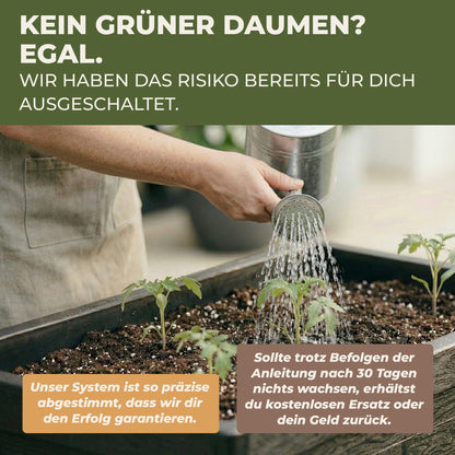 Junge Pflanzen im Green Home Hochbeet werden mit einer Gießkanne bewässert, während sie in frischer Erde wachsen