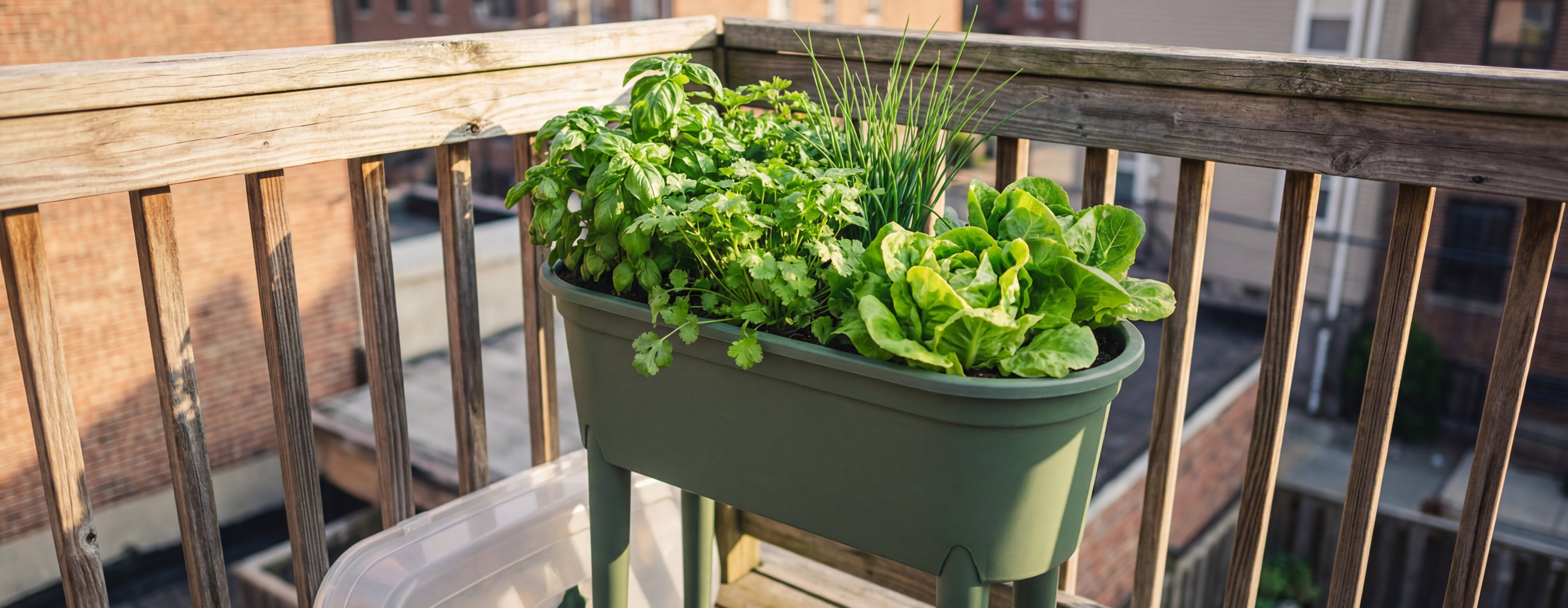 Green Home Hochbeet S mit Kräutern und Salat auf einem Balkon mit aufgesetztem transparentem Deckel