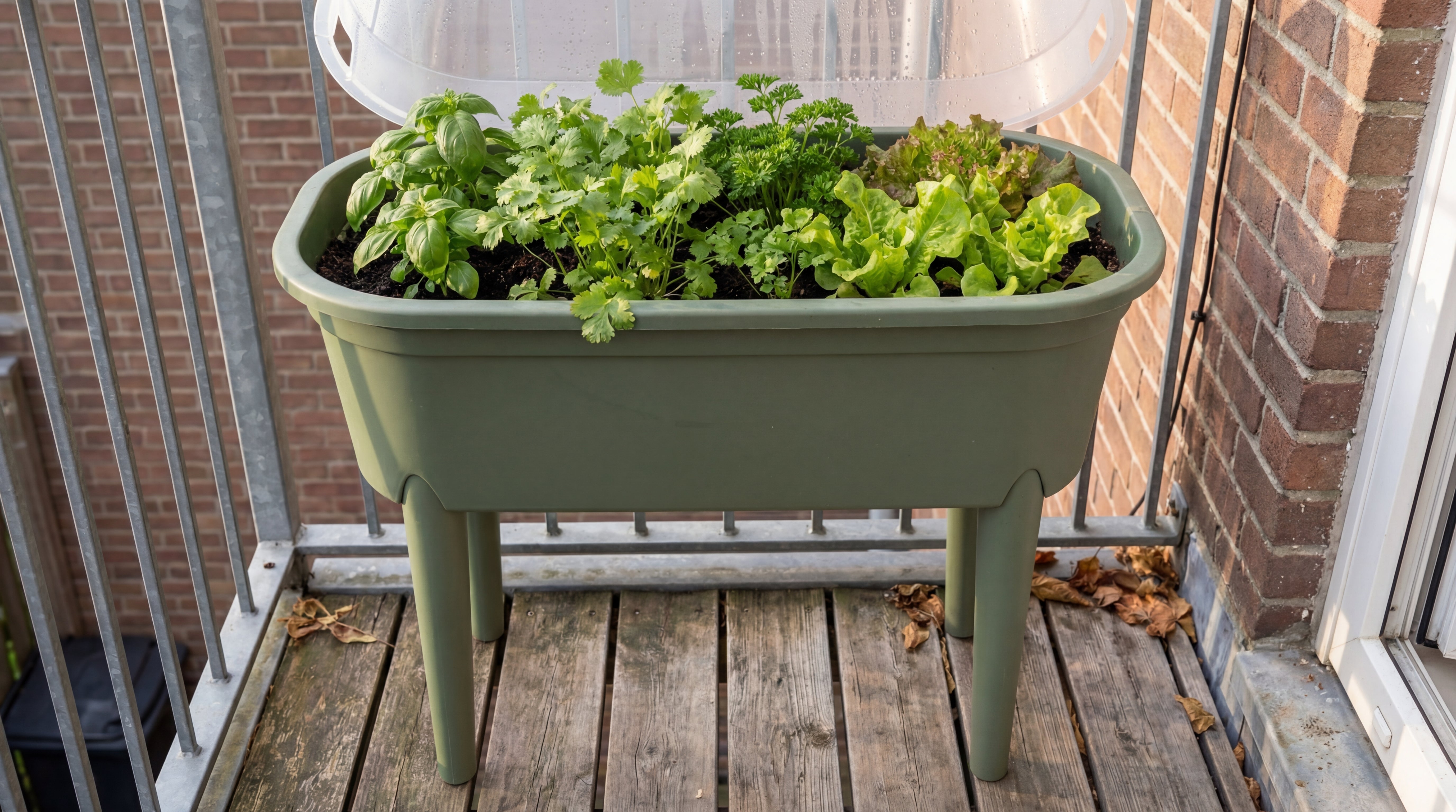 Green Home Hochbeet S mit verschiedenen Kräutern und Salat unter einem transparenten Frühbeetaufsatz auf dem Balkon