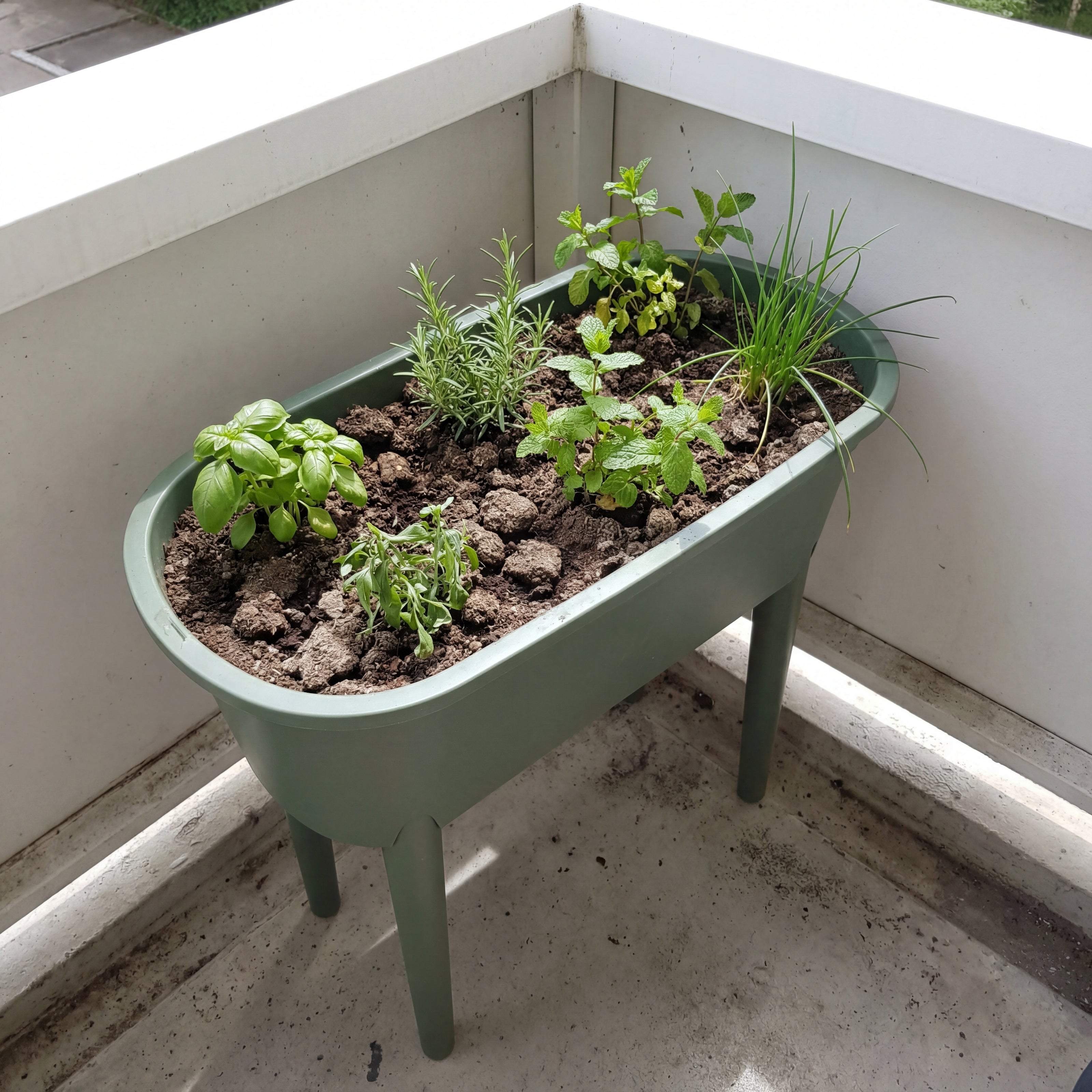 Green Home Hochbeet S mit verschiedenen Kräutern auf einem Balkon ohne Abdeckung