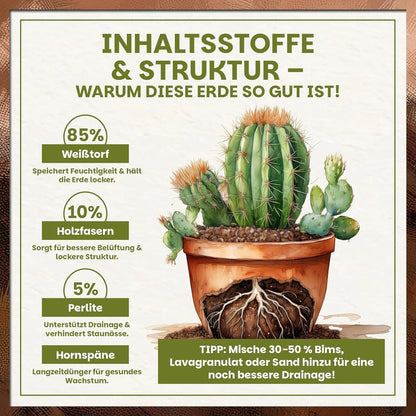 Illustration der Inhaltsstoffe der Kakteen- & Sukkulentenerde mit Kaktus, Wurzelansicht und prozentualer Zusammensetzung