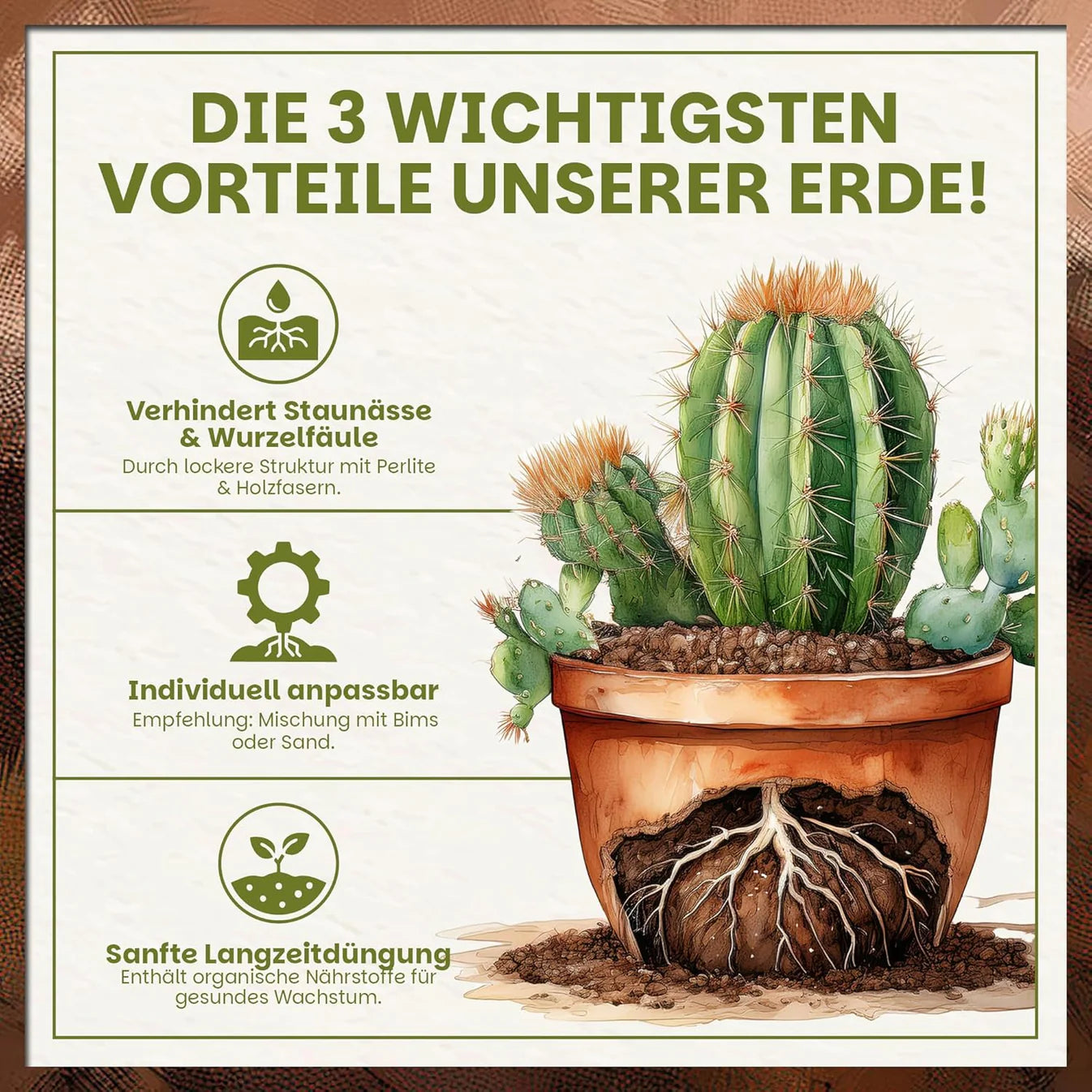 Grafik der drei wichtigsten Vorteile der Kakteen- & Sukkulentenerde mit Fokus auf Drainage, Anpassbarkeit und Langzeitnährstoffe
