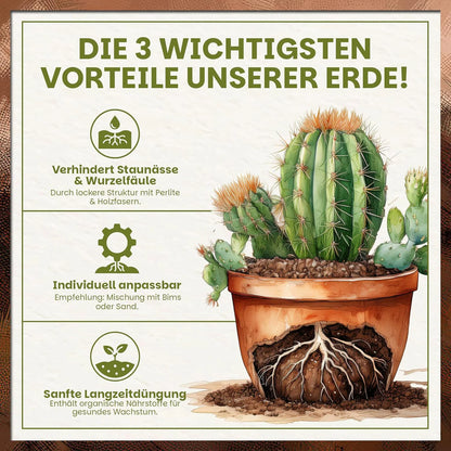 Grafik der drei wichtigsten Vorteile der Kakteen- & Sukkulentenerde mit Fokus auf Drainage, Anpassbarkeit und Langzeitnährstoffe