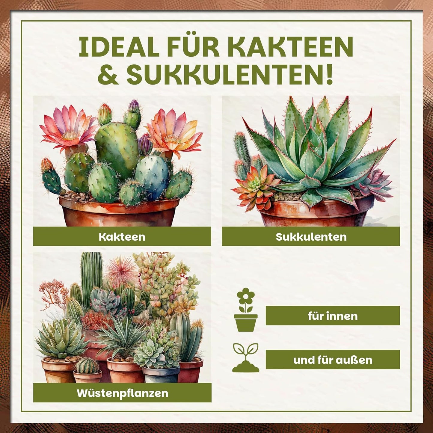 Übersicht mit Kakteen, Sukkulenten und Wüstenpflanzen als geeignete Pflanzen für die Green Home Kakteen- und Sukkulentenerde